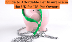 Guide to Affordable Pet Insurance in the UK for US Pet Owners