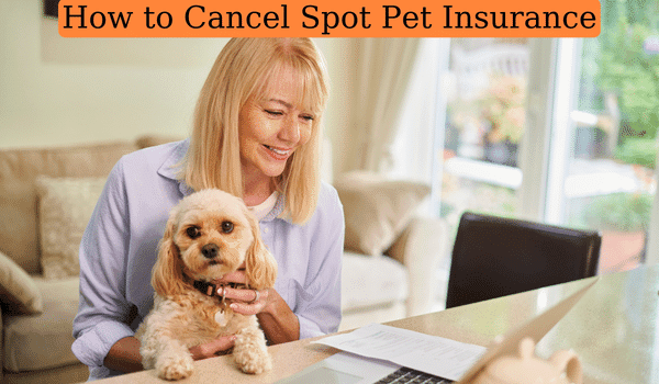 How to Cancel Spot Pet Insurance